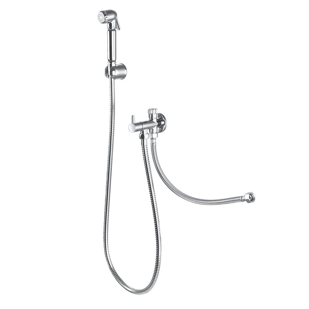 DAX Hand Shower Set, Wall Mount with Hose and Valve, Brass Body, Chrome Finish (DAX-9317C)