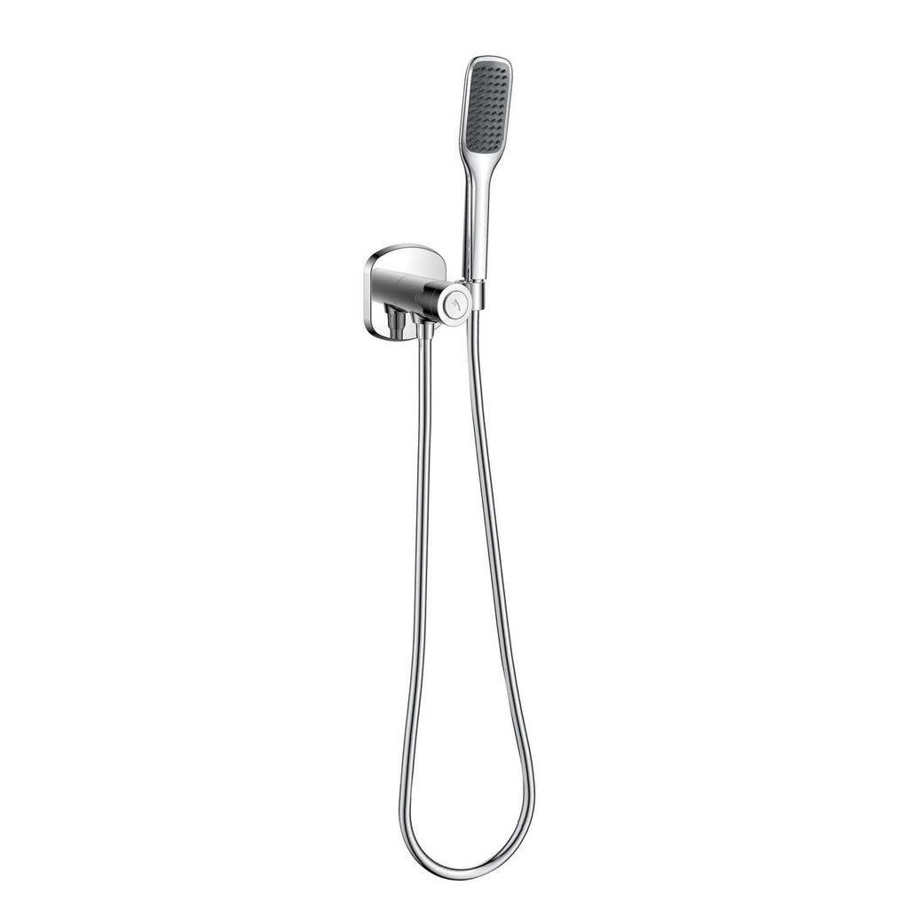DAX Hand Shower Set, Wall Mount with Hose and Valve, Brass Body, Chrome Finish (DAX-8817-CR)